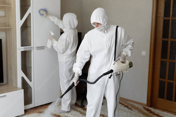 Best Black Mold Remediation in Isla Vista, CA