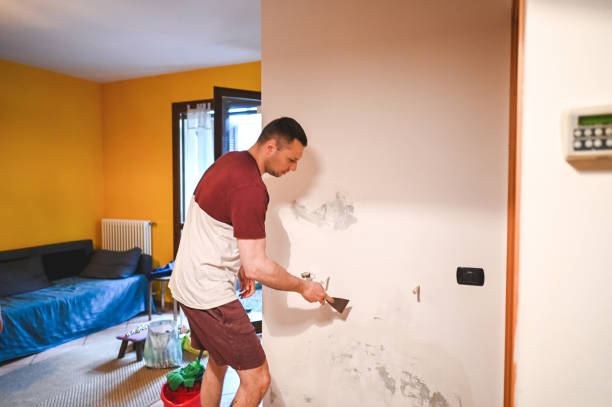 Best Attic Mold Remediation in Isla Vista, CA